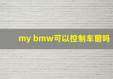 my bmw可以控制车窗吗